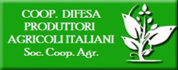 Gestione Documentale